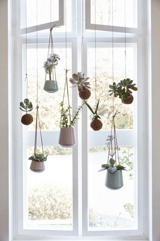 Planten ophangen inspiratie &amp; ideeën! Wooninspiratie